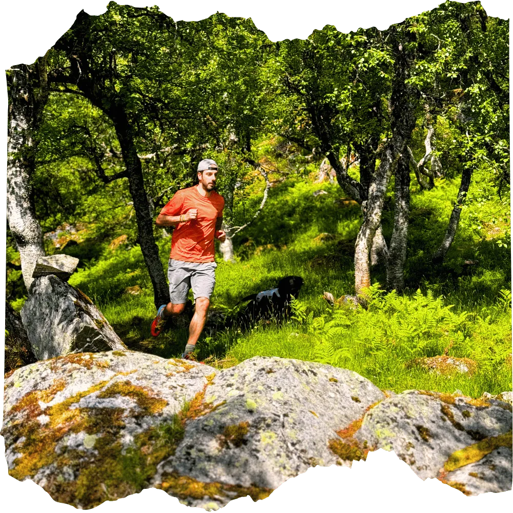 Trail runner in the forest reading running tips and insights